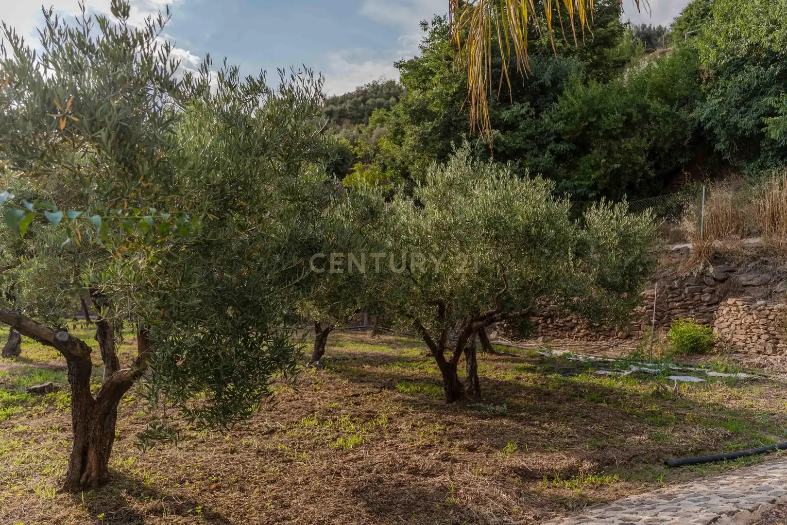 Houses for sale in Lanjarón  with Private garden, Storage room and Swimming Pool