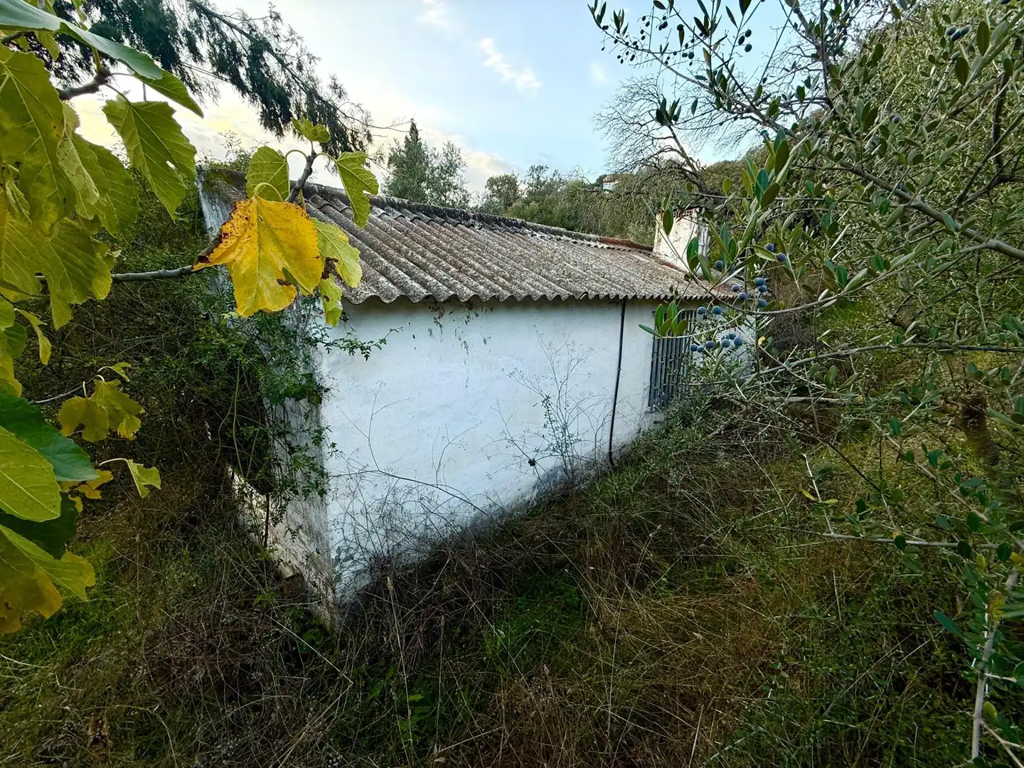 Casa en venda a Almodóvar del Río, imagen 19