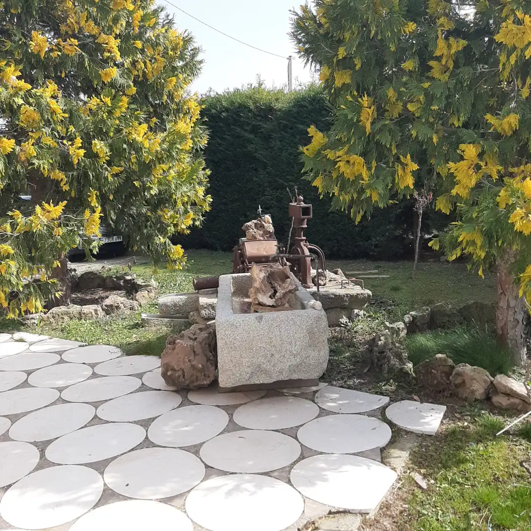 Casa rústica con jardín en venta en Santa María la Real de Nieva, imagen 6