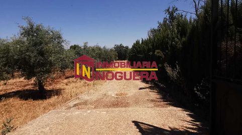 Foto 4 von Grundstücke zum Verkauf in Écija, Sevilla