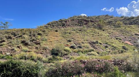 Photo 3 of Land for sale in Residencial Jardín Botánico, Málaga Capital