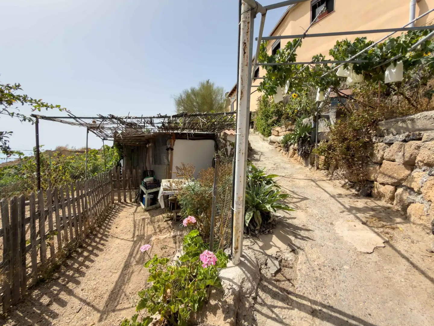 Jardí de Finca rústica en venda en Güímar