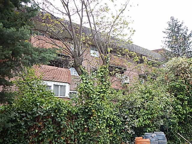 Vista exterior de Pis en venda en Las Rozas de Madrid amb Jardí privat, Terrassa i Piscina