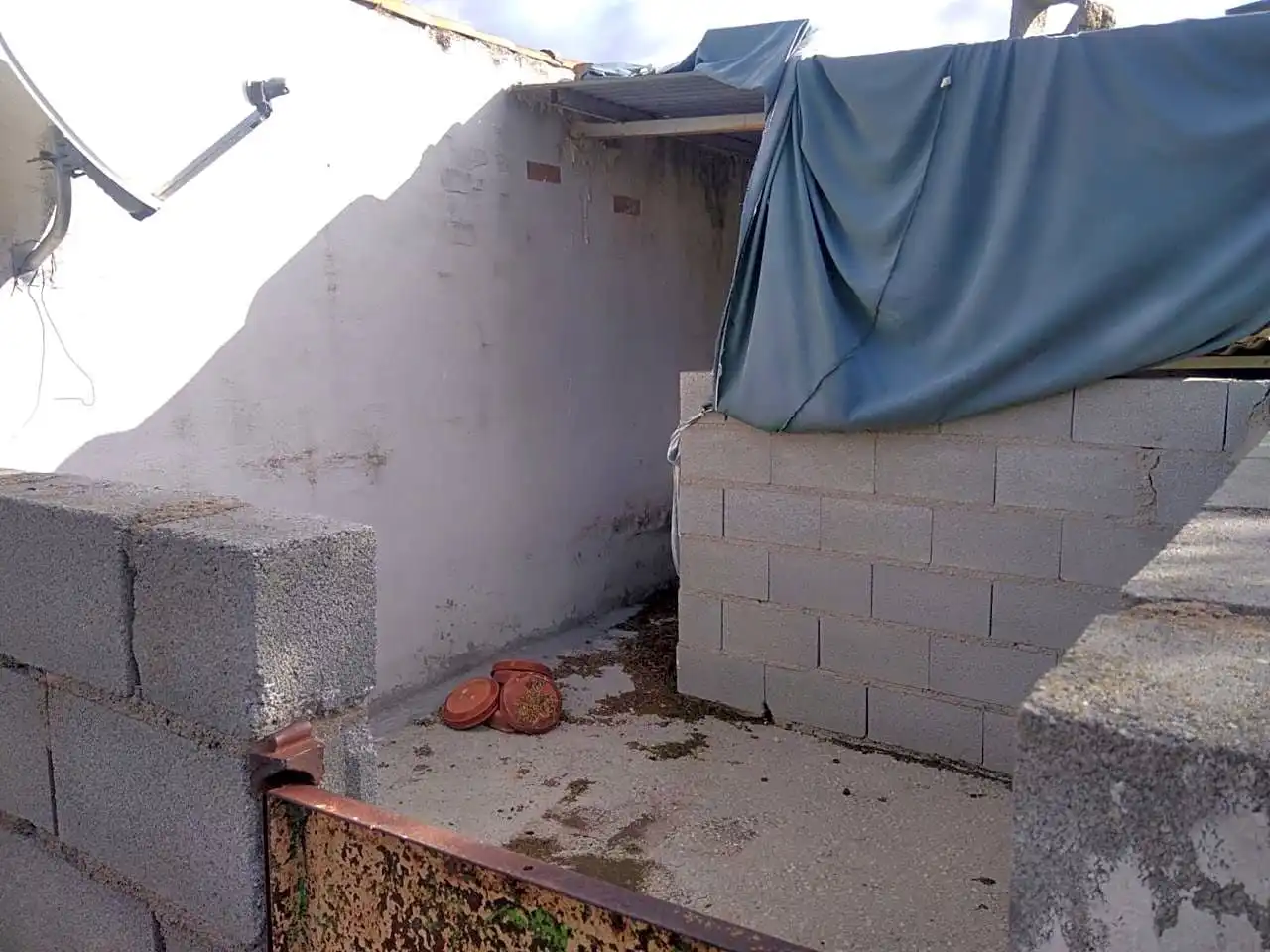 Vista exterior de Finca rústica en venta en Benalúa de las Villas con Jardín privado, Terraza y Trastero