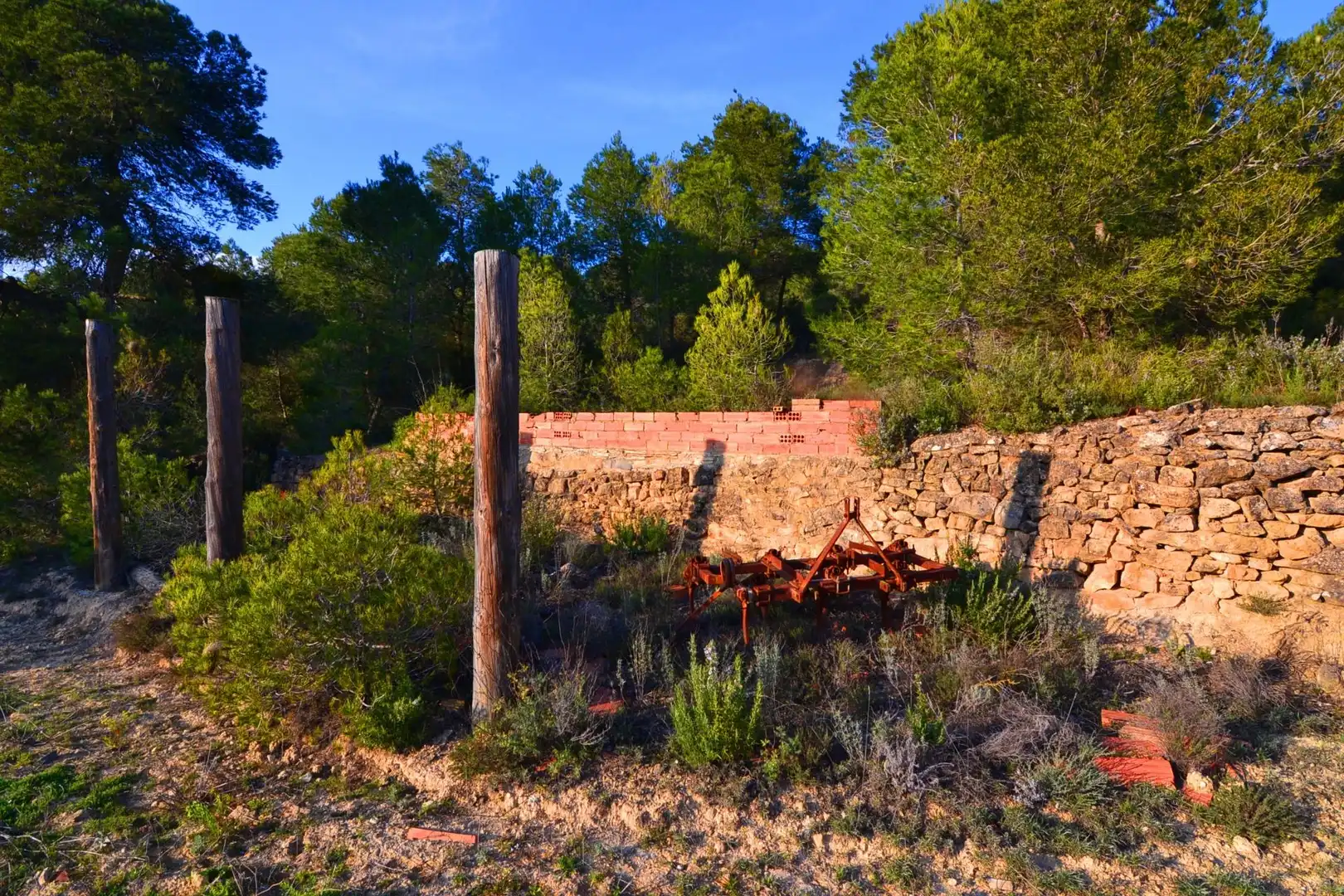 Rural land for sale in Corbera d'Ebre, imagen 17