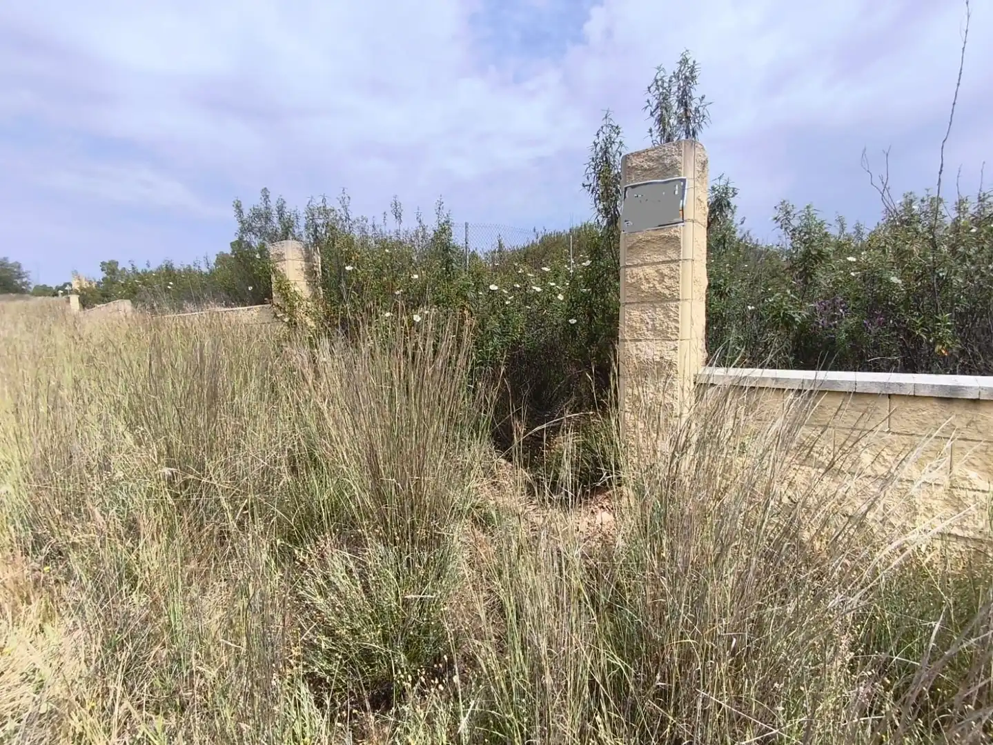 Rural land for sale in Los Lagos, imagen 2