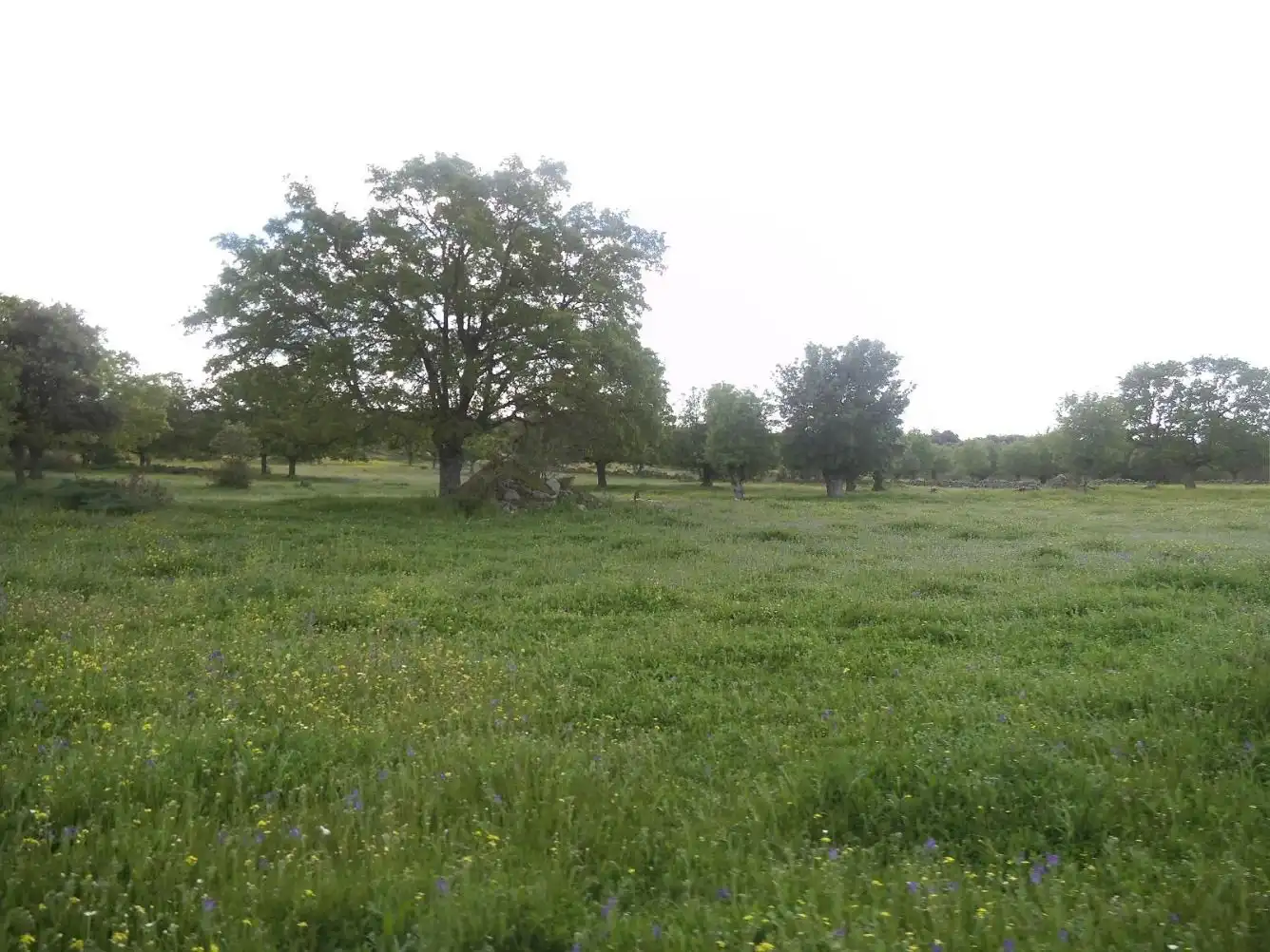 Residencial en venda en Valdemorillo