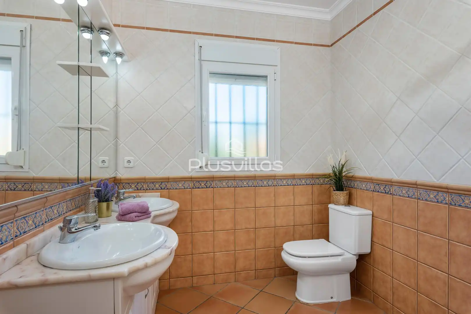 House for sale in Oltamar - Cucarres, imagen 26