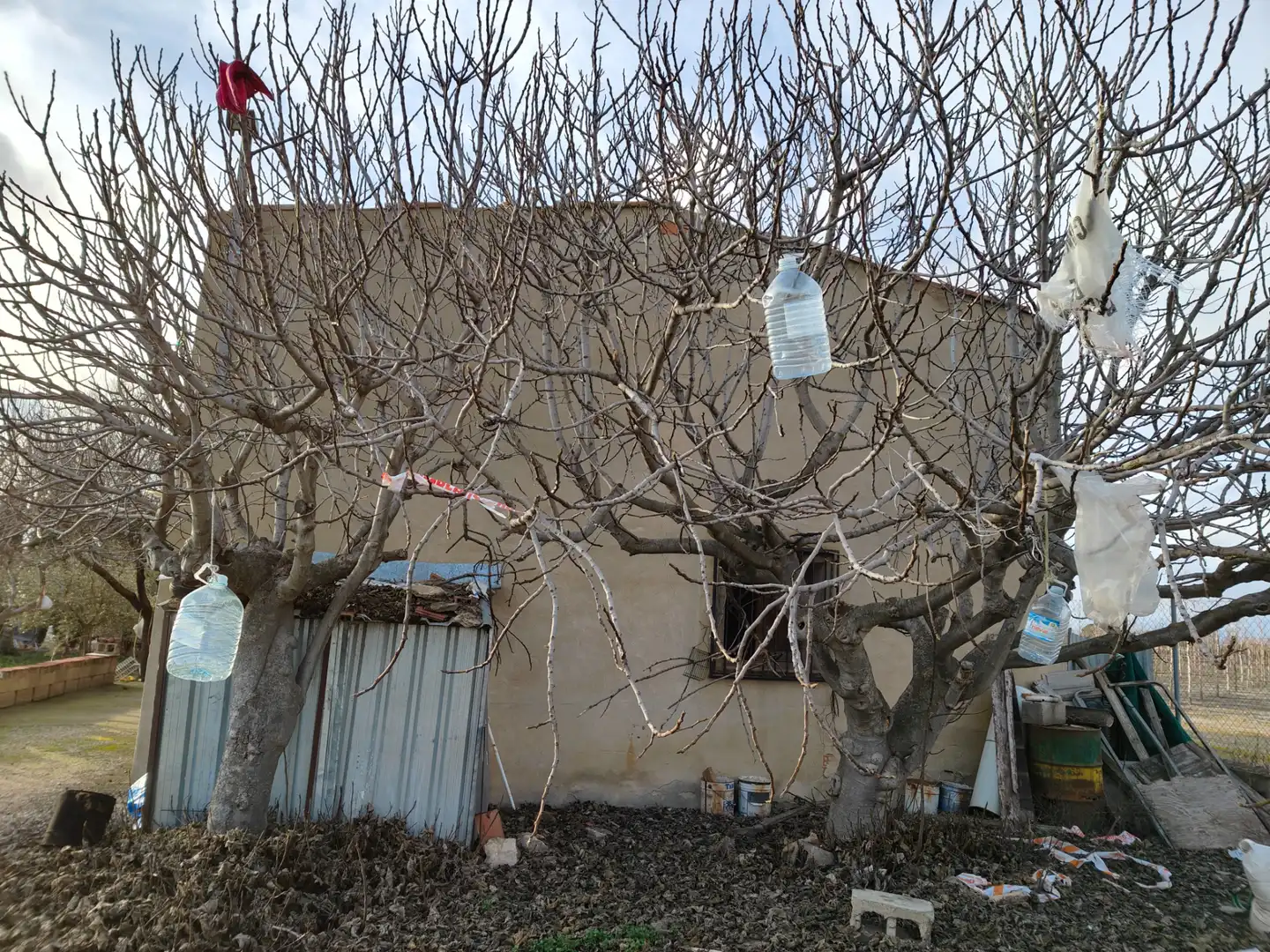 Vista exterior de Casa o chalet en venta en Albacete con Terraza y Balcón