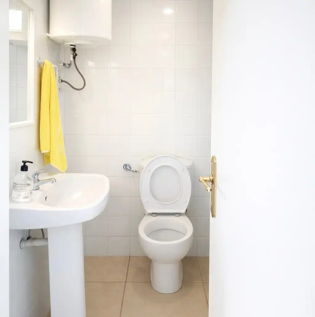 Badezimmer von Geschaftsraum zur Miete in Santa Eulàlia