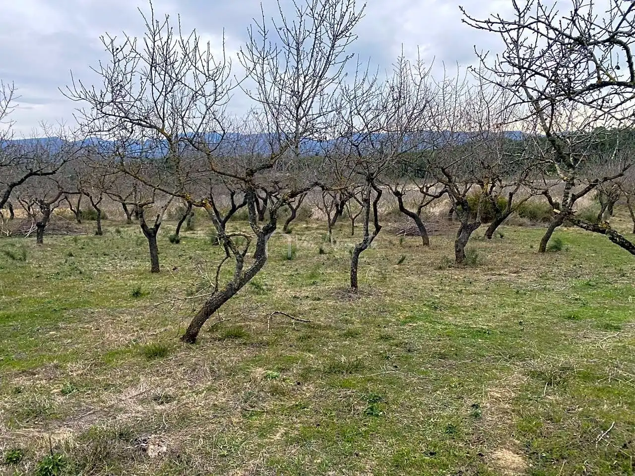 Terrain rustique à vendre à PLANELLES, imagen 24