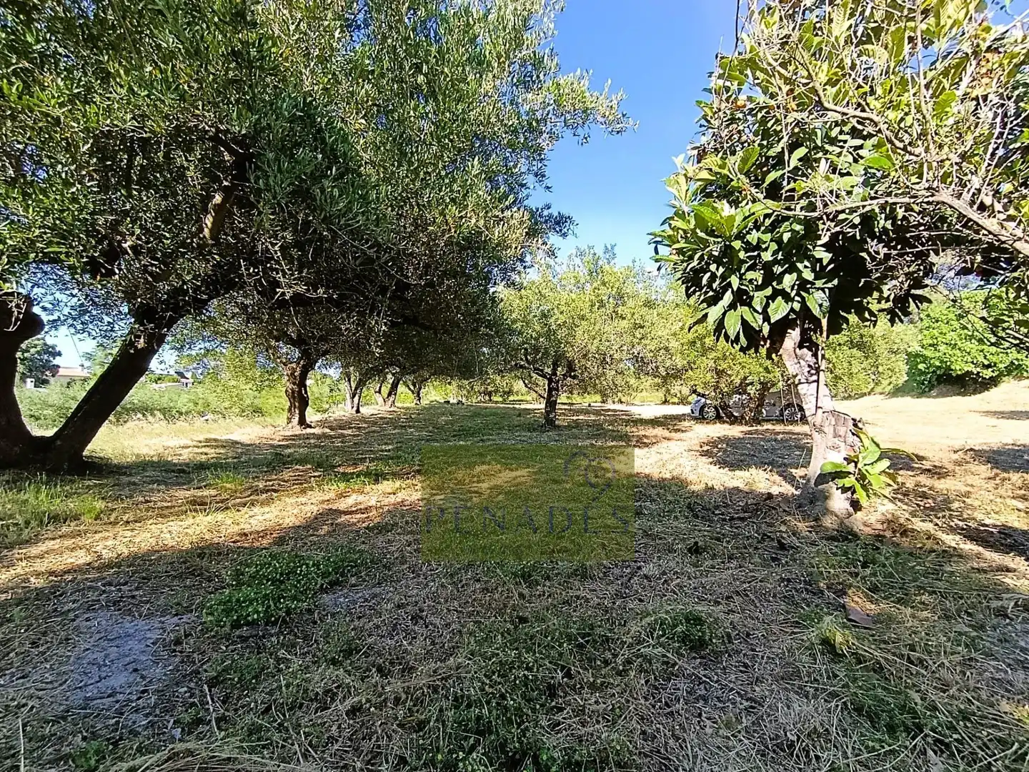 Casa o chalet en venta en Ontinyent con Jardín privado
