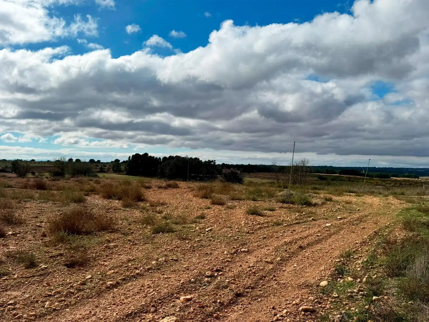 Terreno en venta en Motilleja