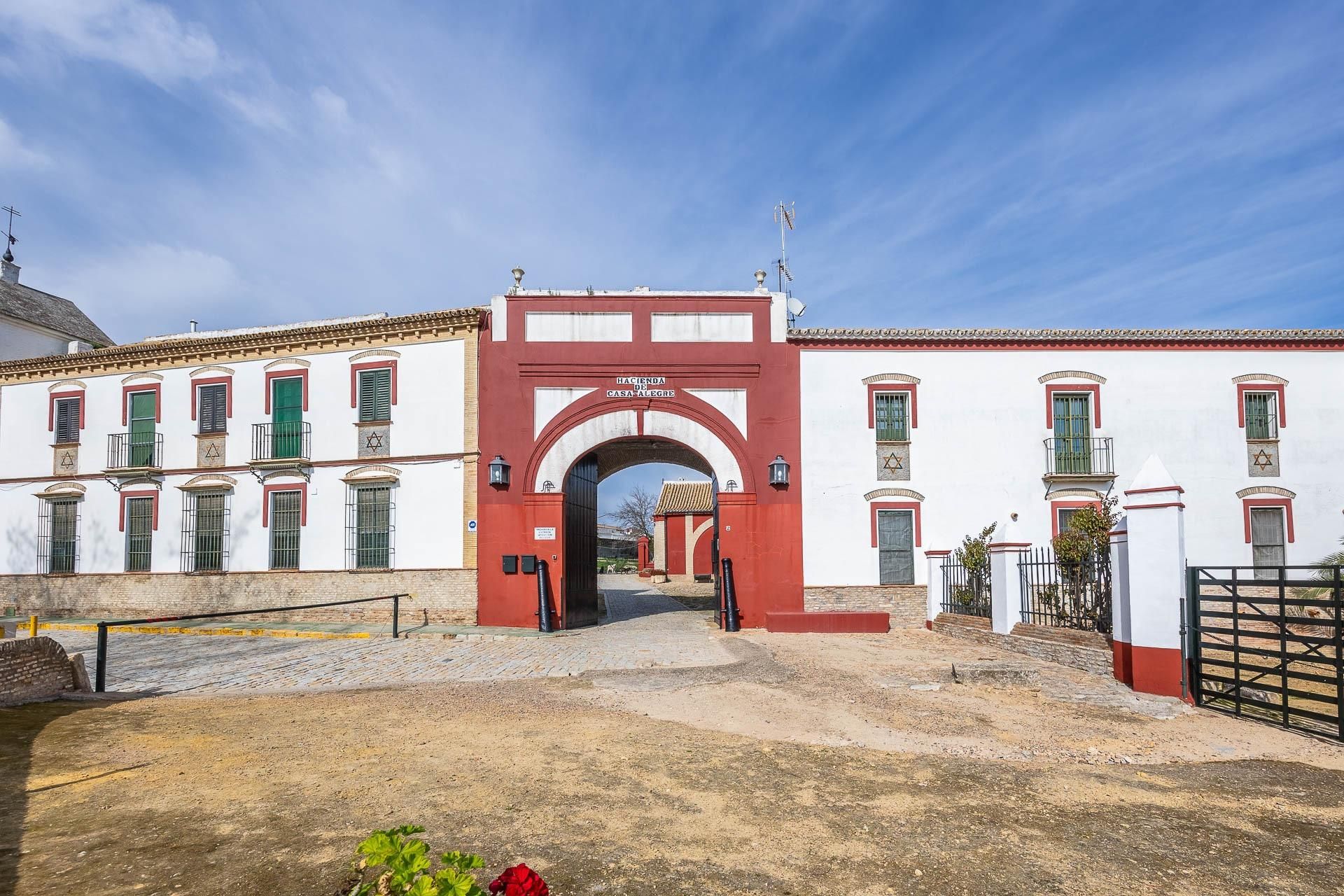 Vista exterior de Finca rústica en venda en Palomares del Río amb Jardí privat, Piscina i Balcó