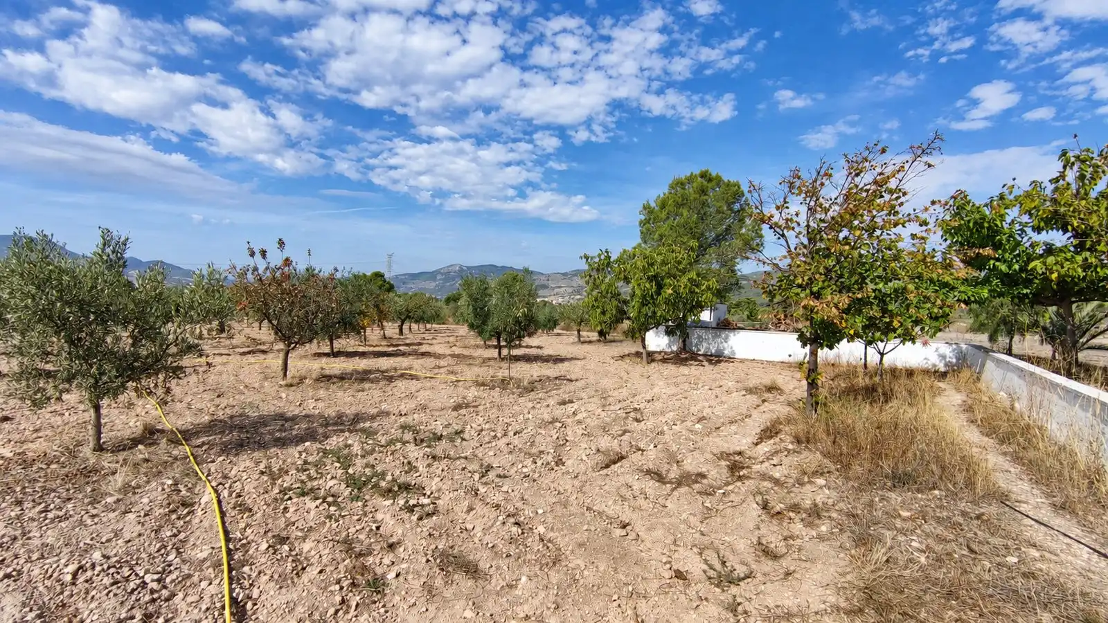 House with terrace for sale in Onil, imagen 41