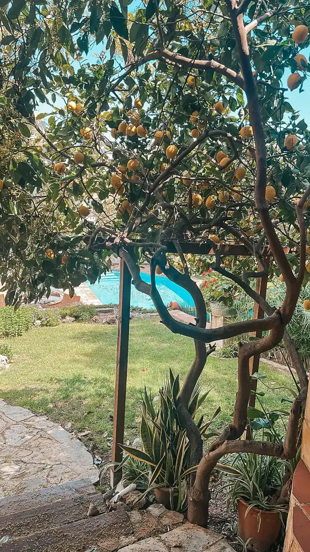 Maison avec terrasse à vendre à Nueva Andalucía, imagen 4