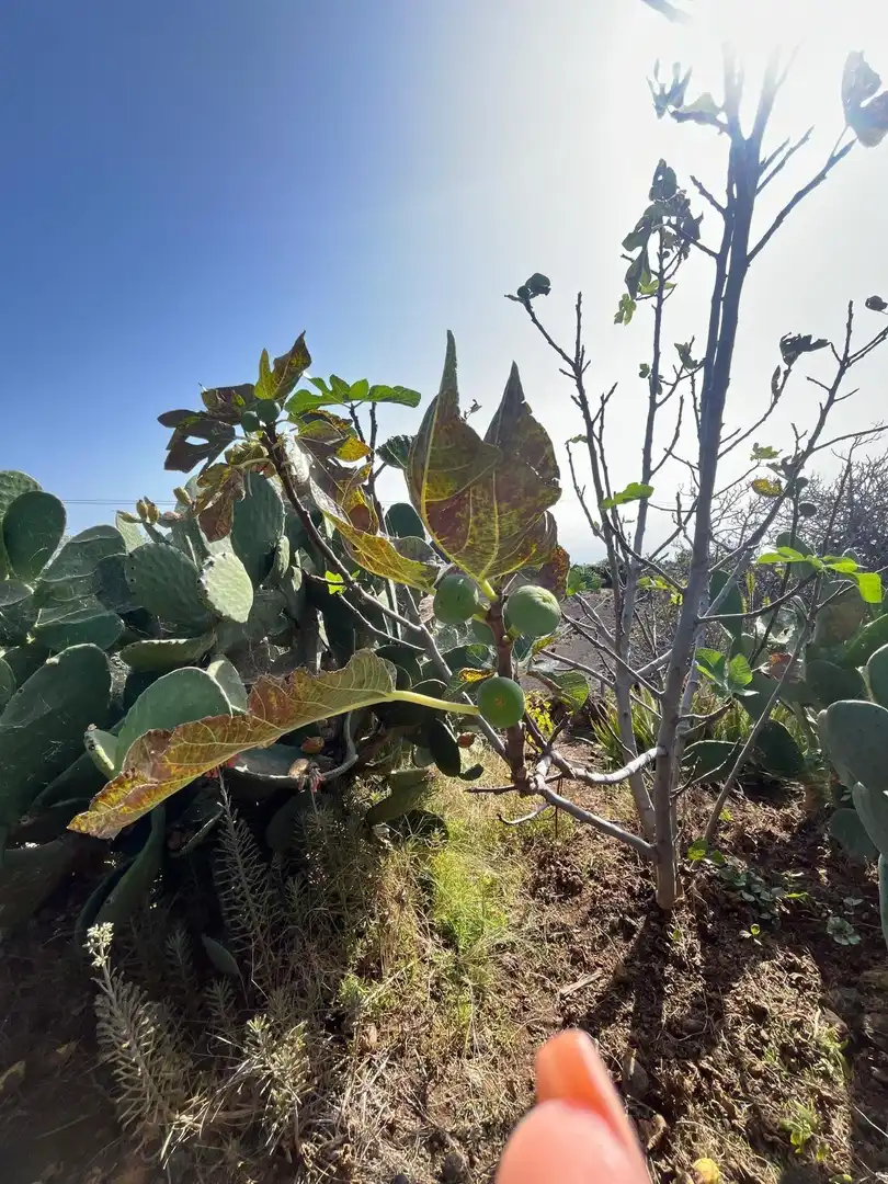 Residencial en venta en El Pinar de El Hierro