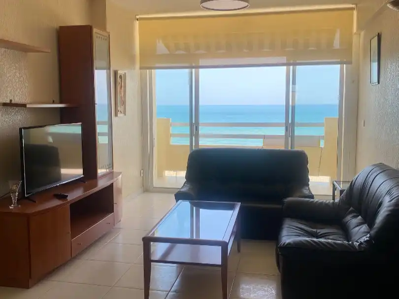 Living room of Flat for rent in Playa de Gandia