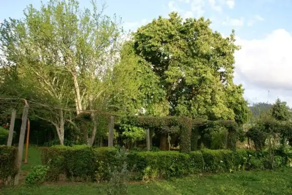 Casa con terraza en venta en Lavadores, imagen 14