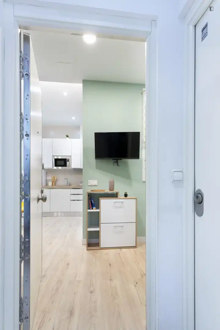 Estudio en alquiler en Centro, imagen 6