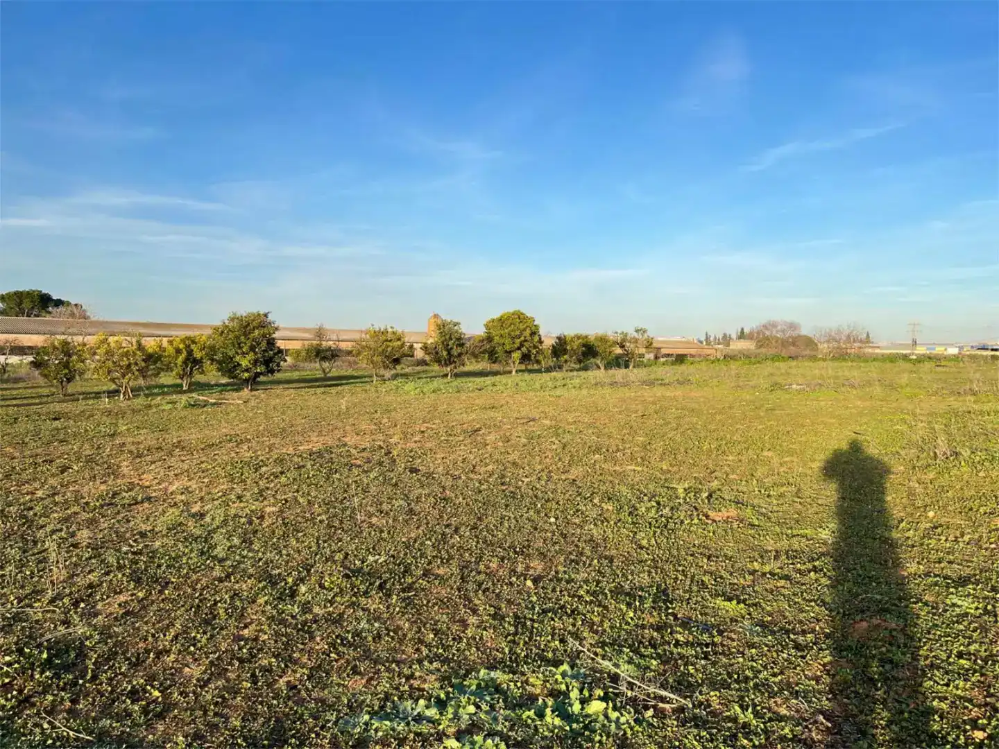 Terreno en venta en Benacazón