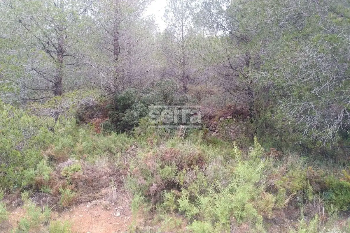 Land for sale in Torrelles de Foix
