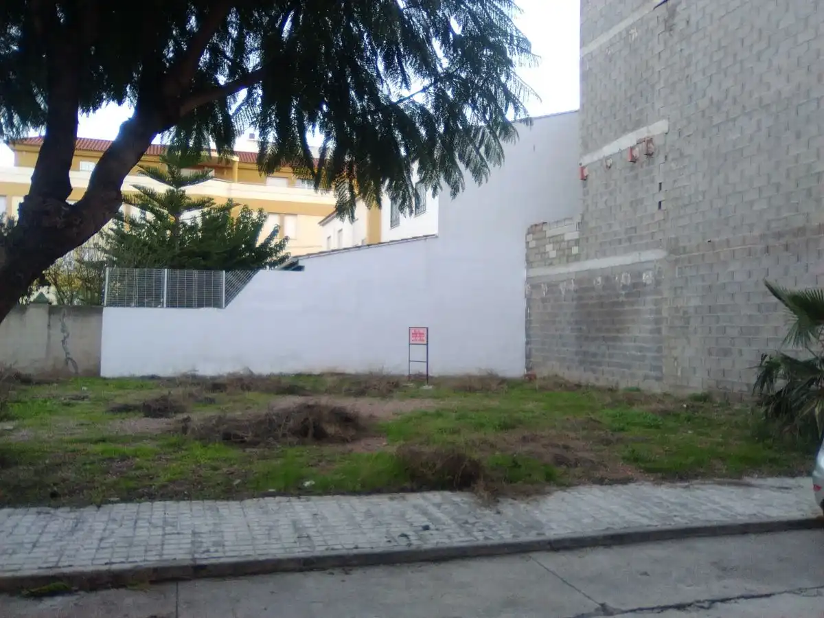 Terreno rústico en venta en Algímia de Alfara, imagen 10