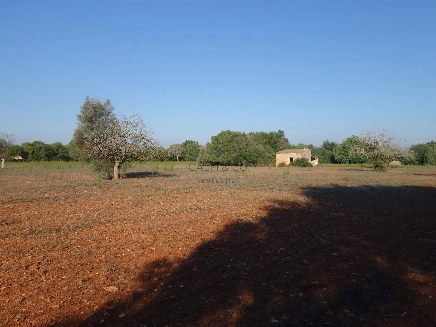 Residential land for sale in Felanitx Poble, imagen 10
