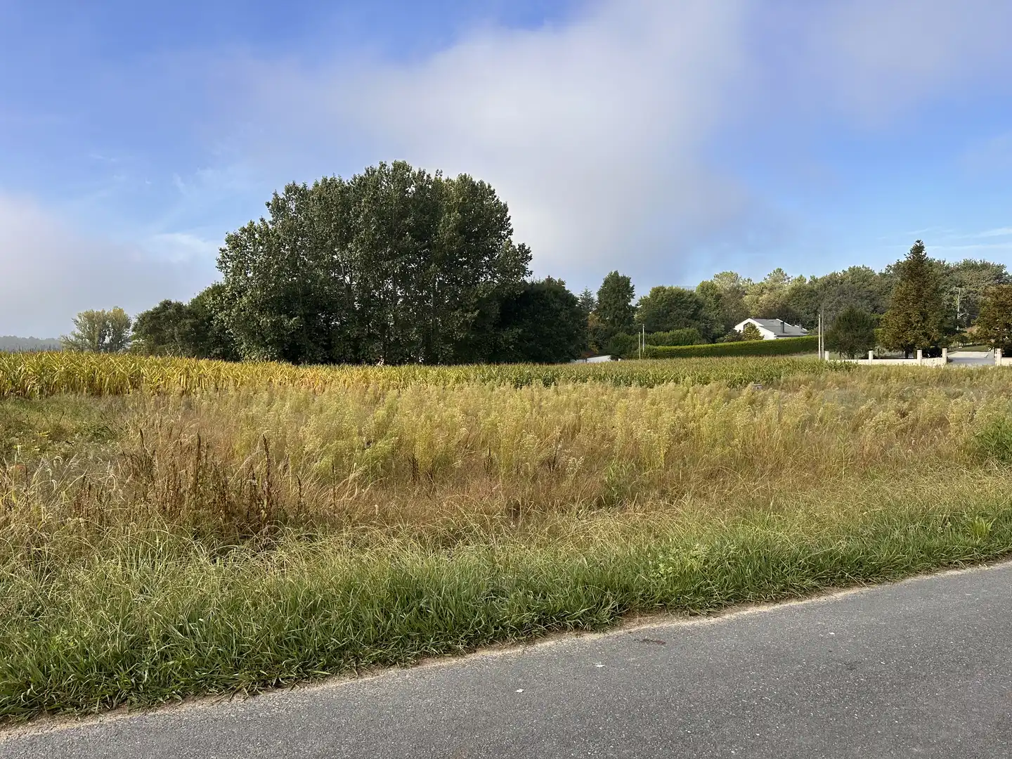 Terrains et parcelles à vendre à Pite, imagen 2