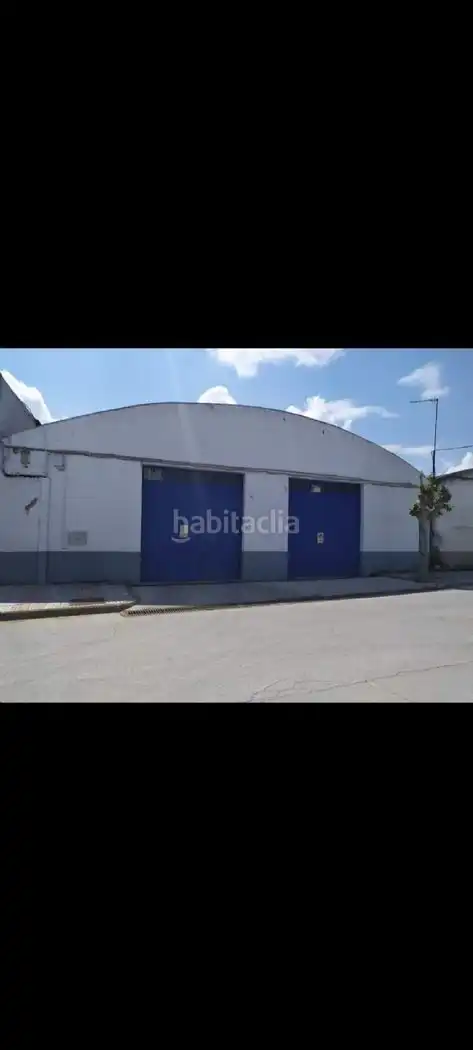 Nave industrial in affitto a Avenida Andújar 112, imagen 3