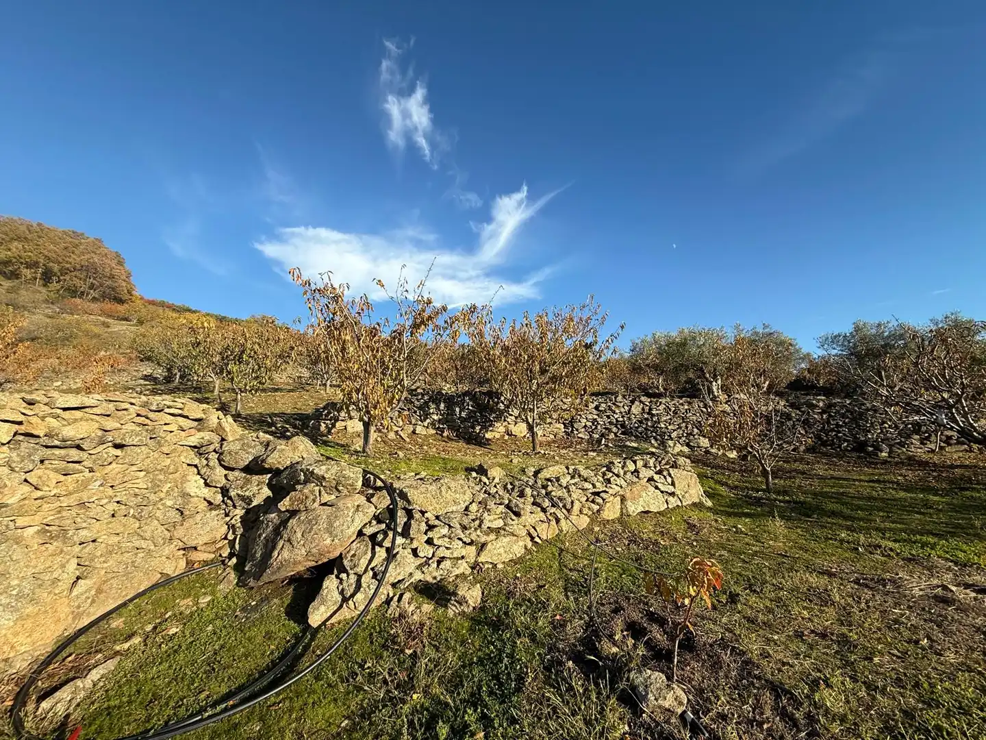 Land for sale in Arroyomolinos de la Vera