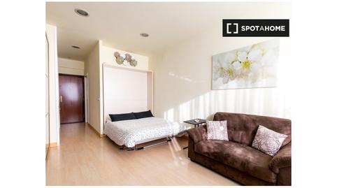 Photo 3 of Study to share in Encarnación - Regina, Sevilla