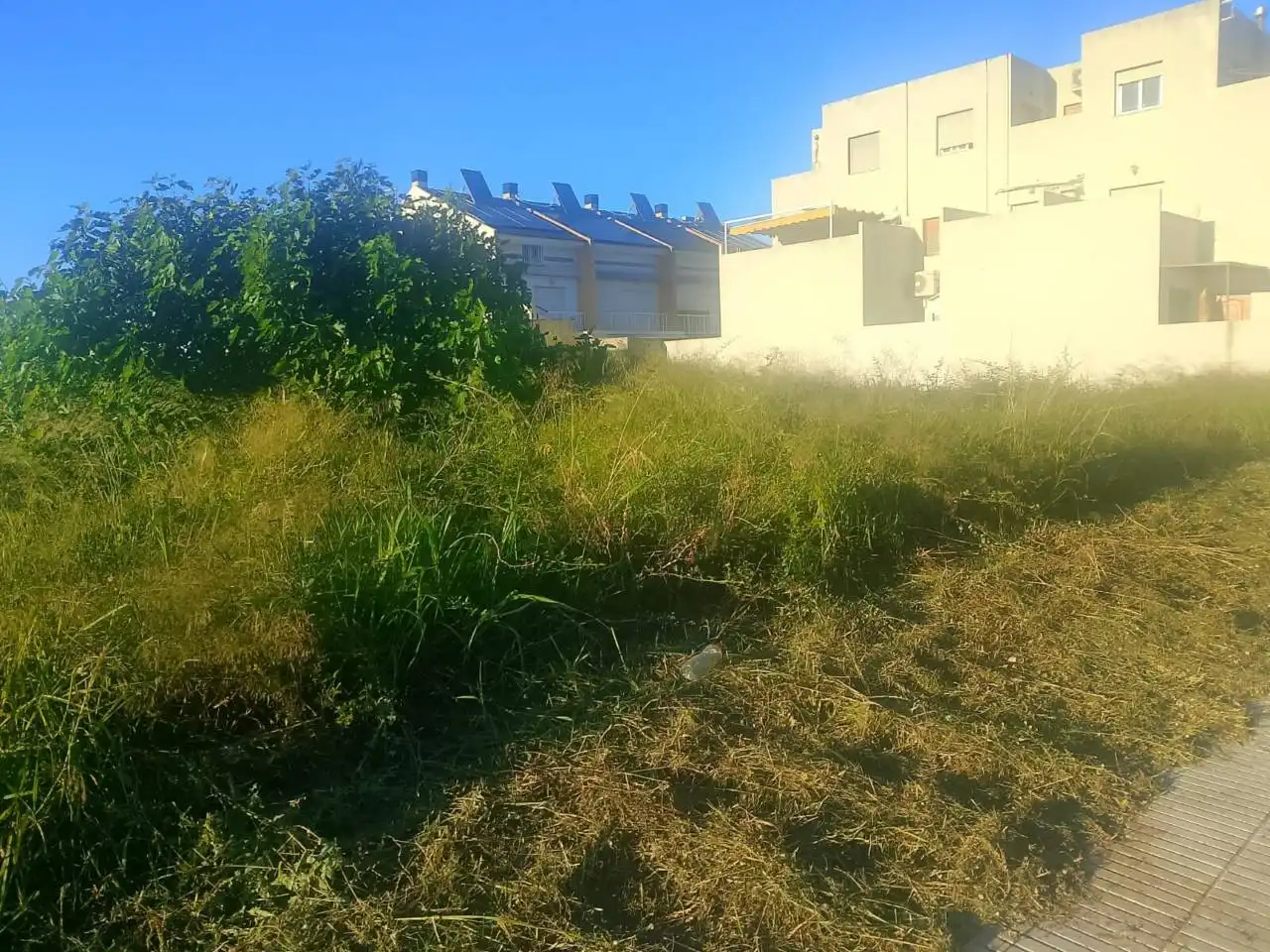 Residential land for sale in Calle Vernissa, imagen 7