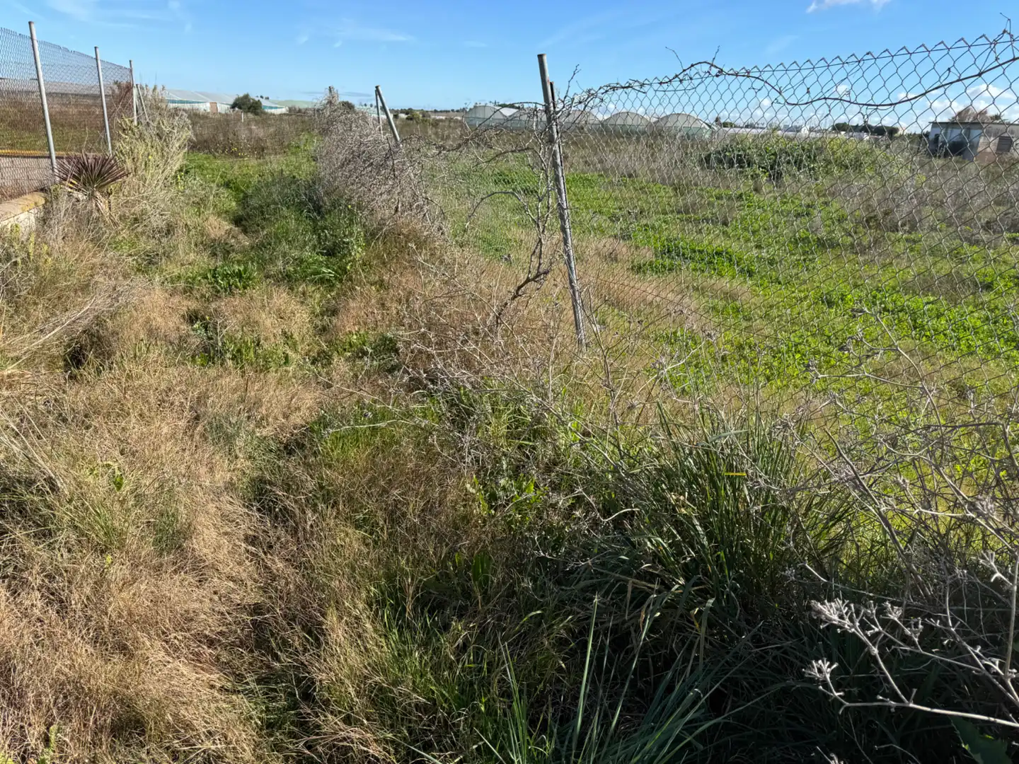 Rustikales Grundstück zum Verkauf in Chipiona Norte, imagen 8