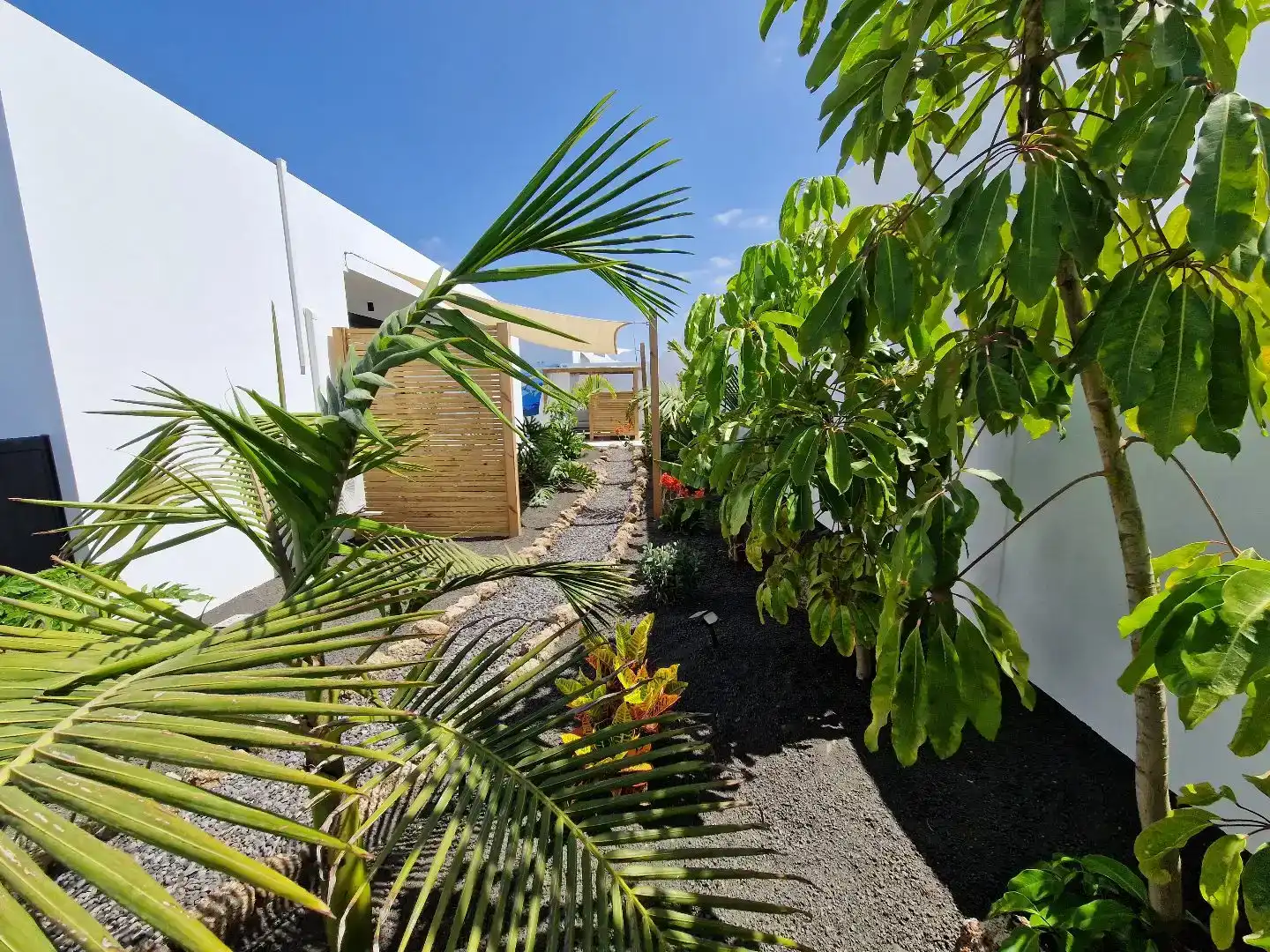 Terrasse von Wohnung zum Verkauf in La Oliva mit Klimaanlage, Privatgarten und Schwimmbad
