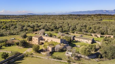 Maravillosa finca para reformar en venta cerca de Sineu, Mallorca, imatge 5