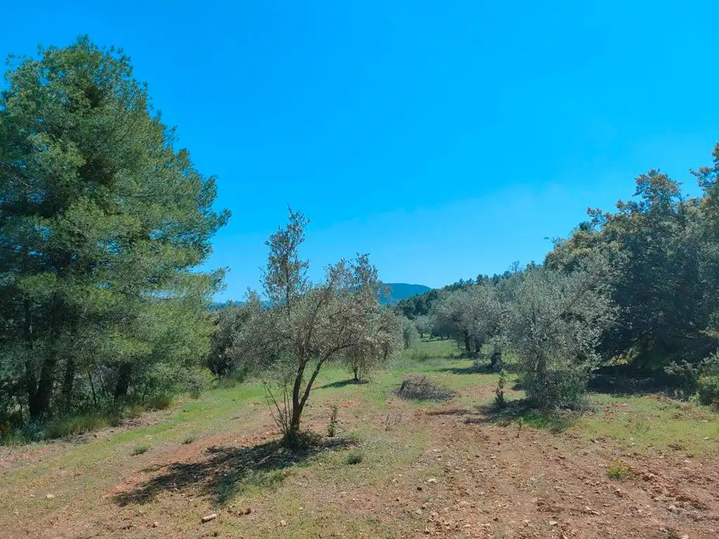 Terreni e lotti in vendita a Ráfales, imagen 5