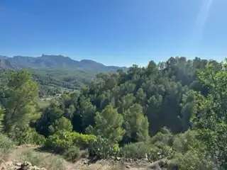 Terreno rústico en venta en Benifallet, imagen 14