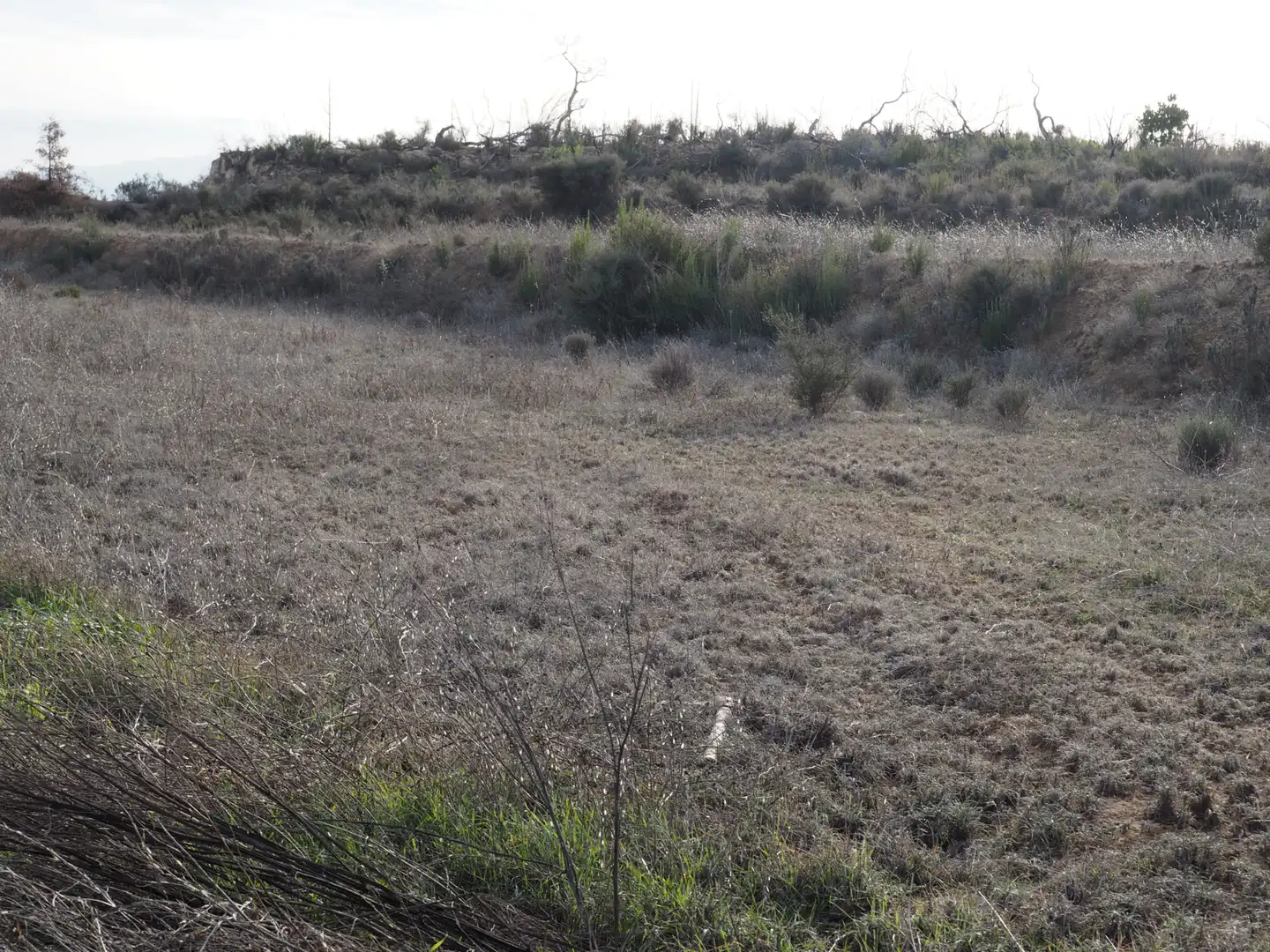 Terreno en venta en Flix