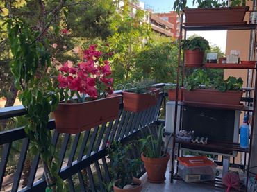 Appartement avec ascenseur à vendre à AL VEDAT