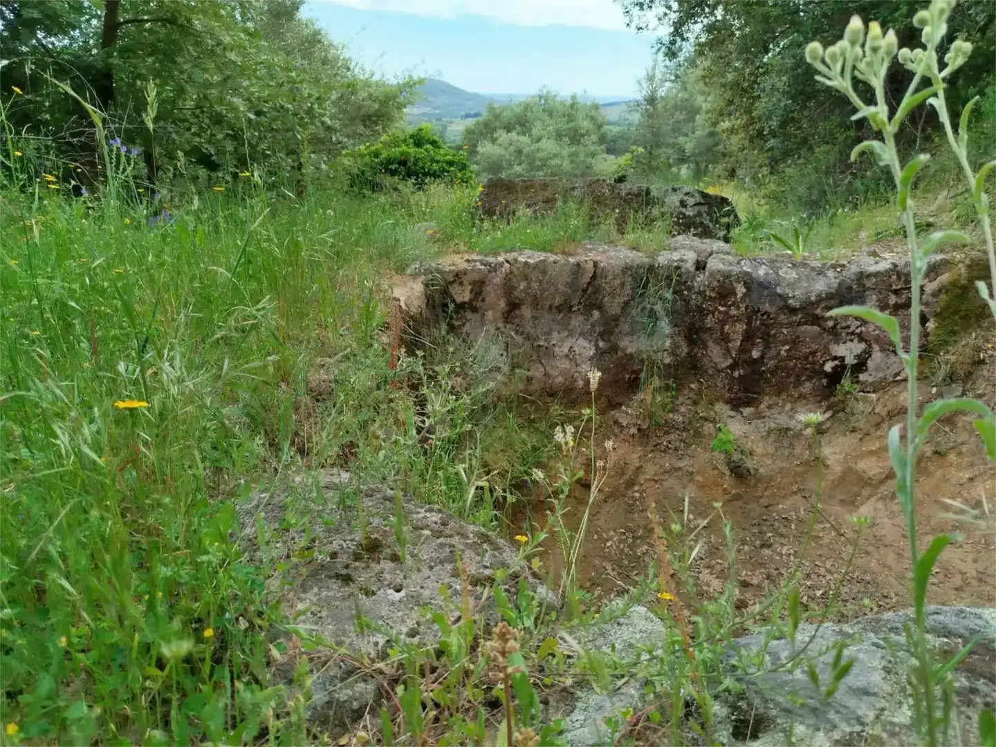 Land for sale in Torre de Don Miguel