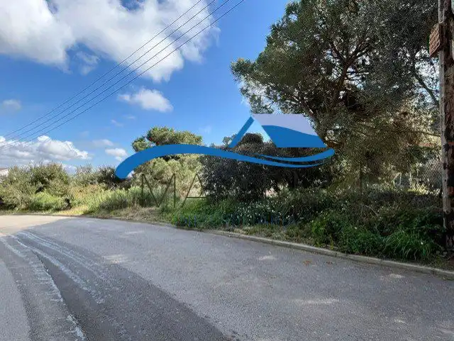Lands and plots for sale in Flors, imagen 7
