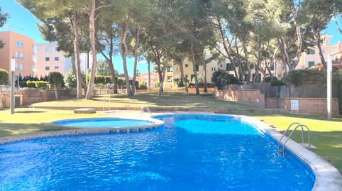 Foto 4 de Piso en venta en Maioris-Puig de Ros, Llucmajor