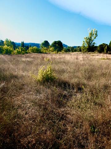 Terreno en Venta en Pasaje San Martin de Valdeiglesias en Prosperidad