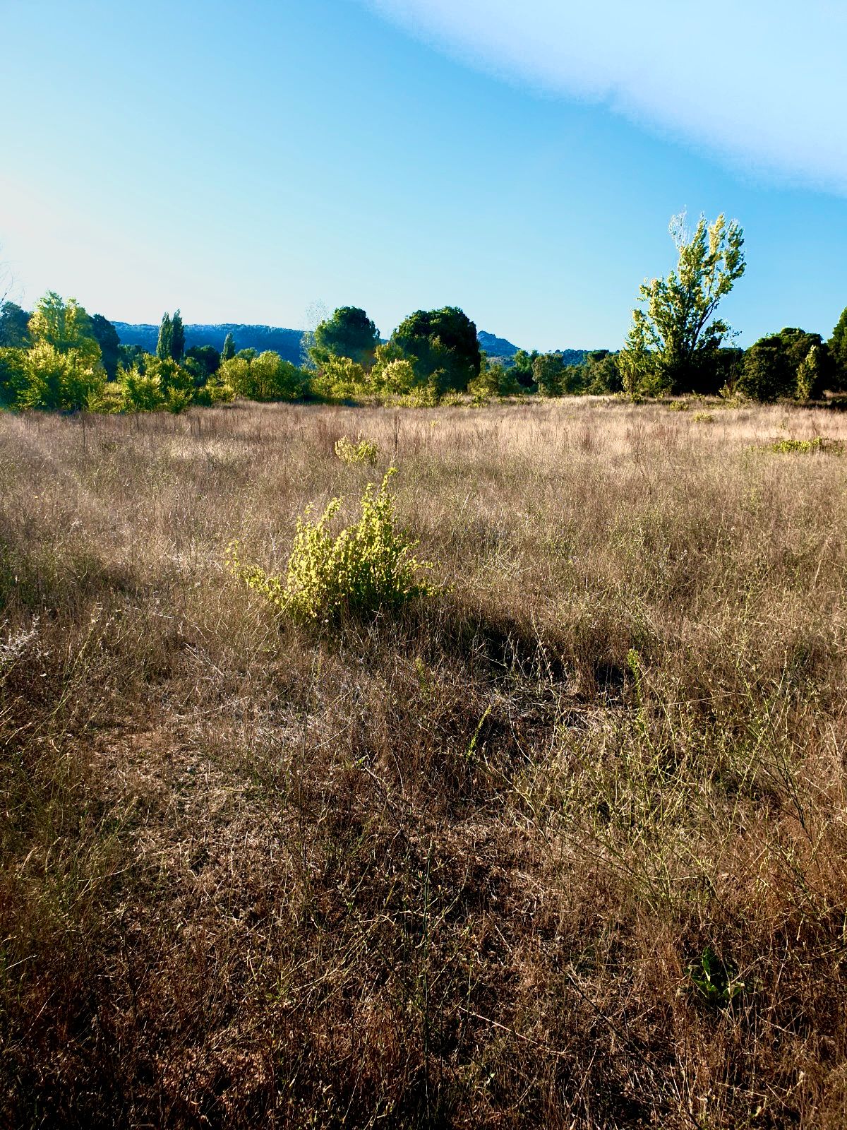 Land for sale in  Madrid Capital