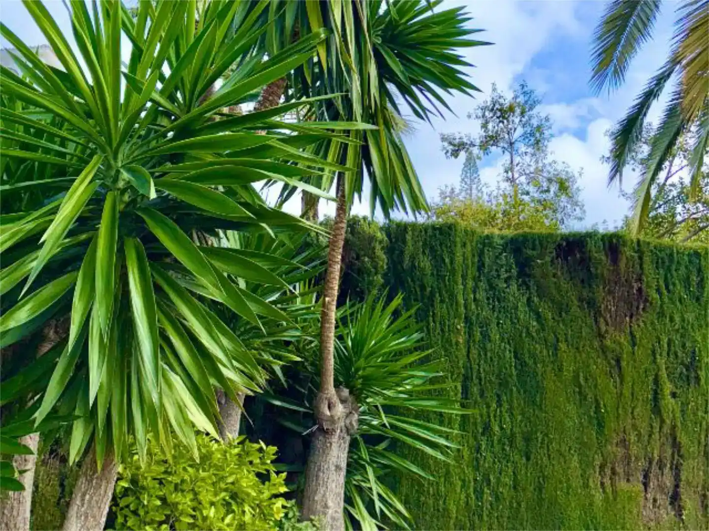 Jardí de Apartament de lloguer en Marbella amb Aire condicionat, Piscina i Balcó