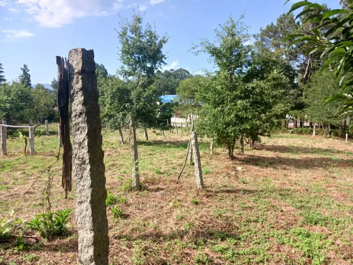 House for sale in San Roque, imagen 17