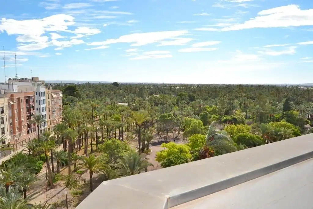 Garten von Dachboden zum Verkauf in Elche / Elx mit Terrasse