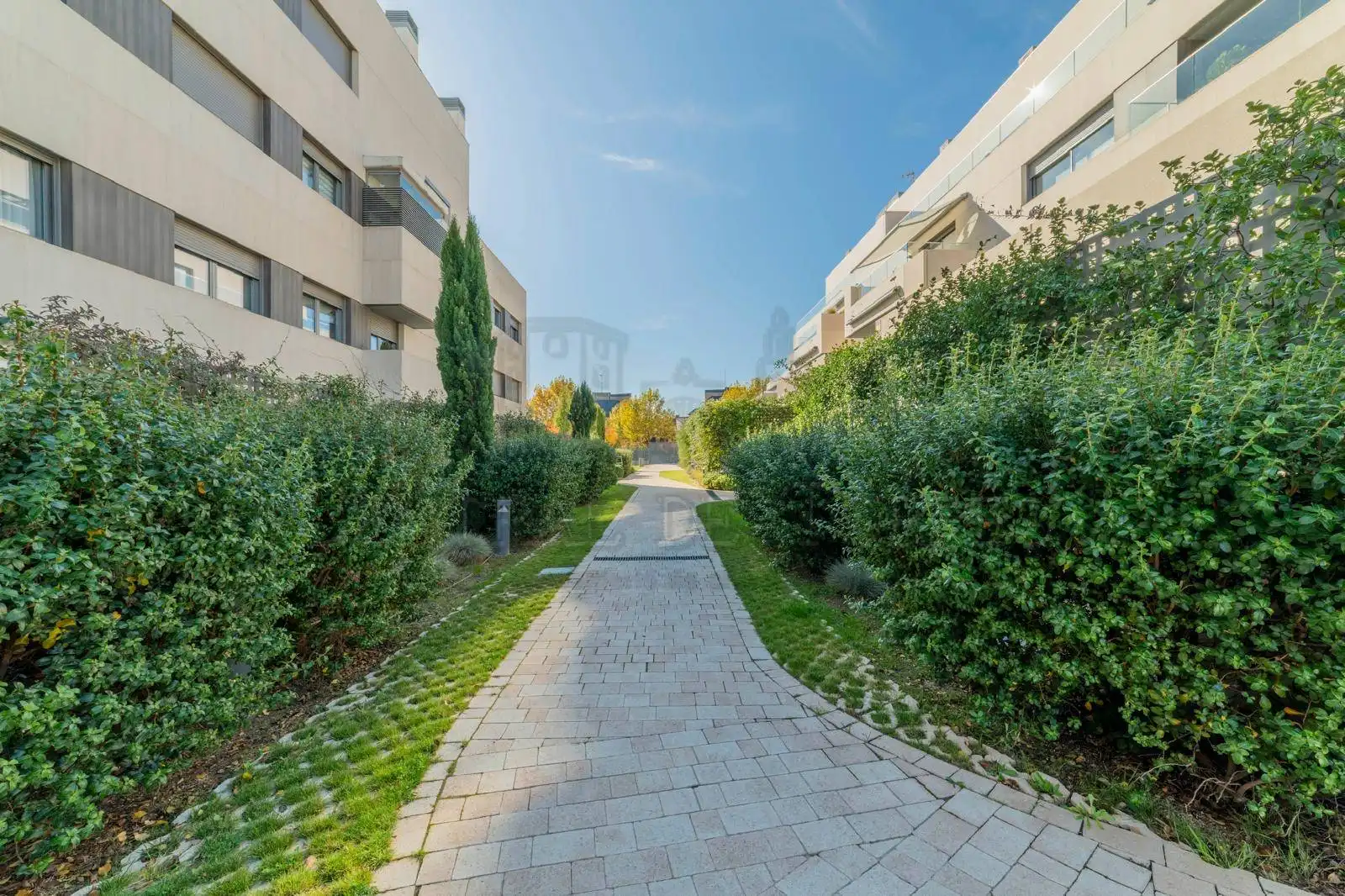 Vista exterior de Àtic de lloguer en Boadilla del Monte amb Aire condicionat, Calefacció i Terrassa