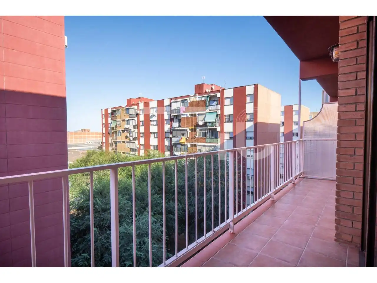 Appartamento con terrazza in vendita a Calle Camp Arriassa